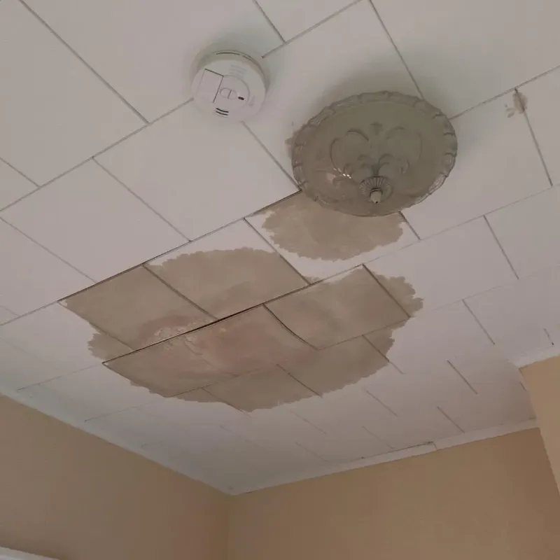 Ceiling Water Damage Repair in Batavia, NY